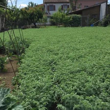 Cascina Vecchia Alojamento de Acomodação e Pequeno-almoço Bellaria-Igea Marina