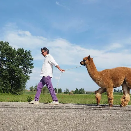 Alojamento de Acomodação e Pequeno-almoço Cascina Vecchia Bellaria-Igea Marina