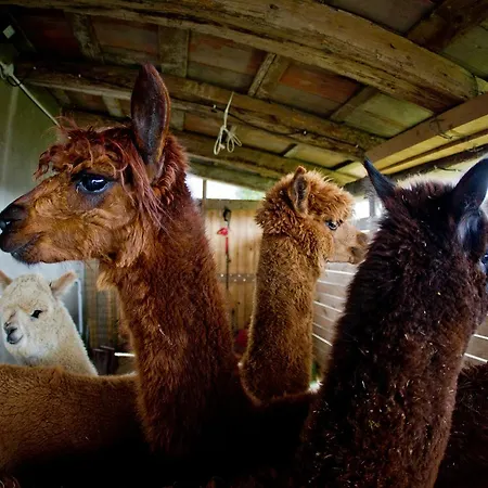 Alojamento de Acomodação e Pequeno-almoço Cascina Vecchia