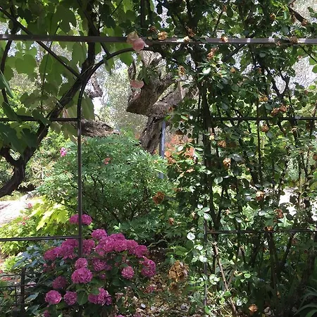 Bed & Breakfast Cascina Vecchia Bellaria *