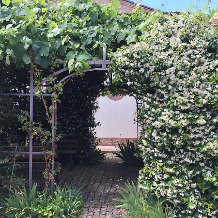 Cascina Vecchia Bellaria Bed & Breakfast