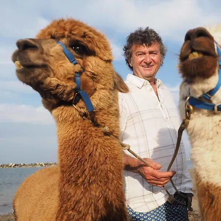 Bed & Breakfast Cascina Vecchia *