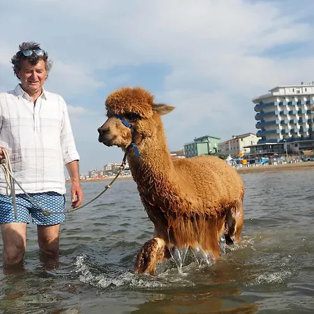 Cascina Vecchia * Bellaria-Igea Marina