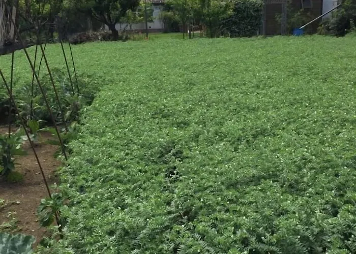 Cascina Vecchia Frühstückspension Bellaria-Igea Marina