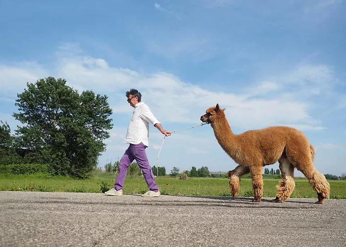 Frühstückspension Cascina Vecchia Bellaria-Igea Marina